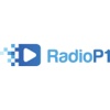 RadioP1 Emulator