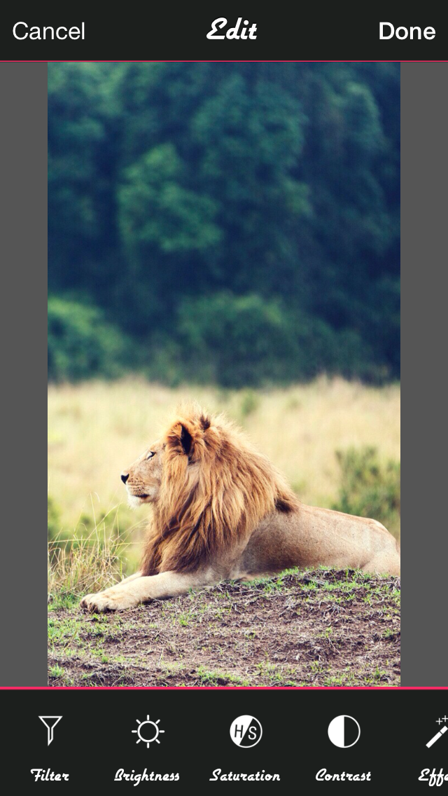 InstaPic - PhotoGram