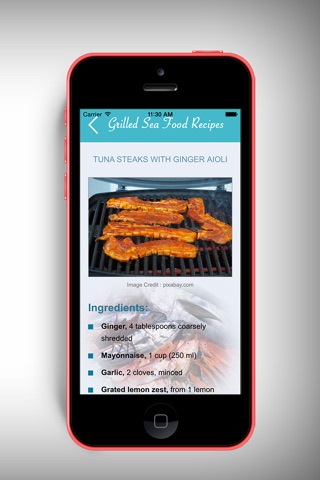 Grilled Sea Food Recipes screenshot 4