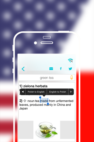 Offline Polish to English Language Dictionary , translator -  słownik polski angielski screenshot 4