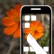 Have you thought of "Transparent Phone"