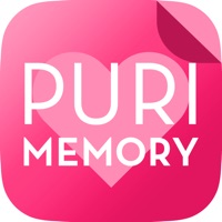 PURI MEMORY