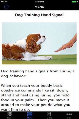 A+ How To Train Dogs - Teach Your Dog How To Potty, Crate, Tricks, Tips & More. screenshot 2