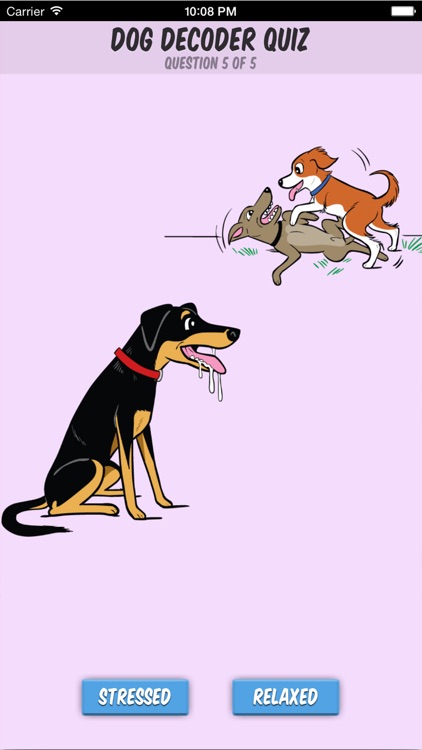 Dog Decoder screenshot-4