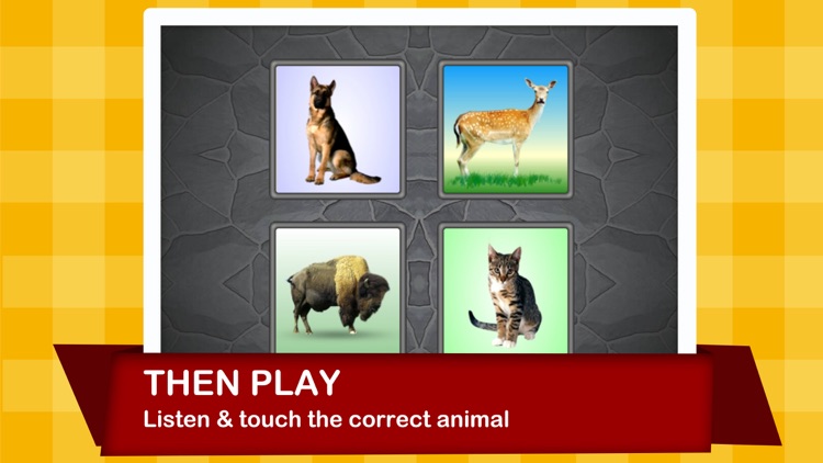 Animal Calls