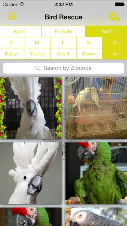 BirdRescue screenshot-3