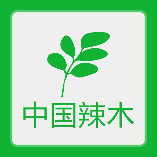 辣木信息网