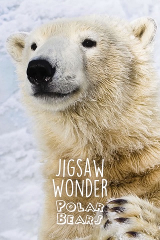 Jigsaw Wonder Polar Bears for Kids screenshot 4