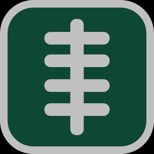 Philadelphia Football Alarm icon