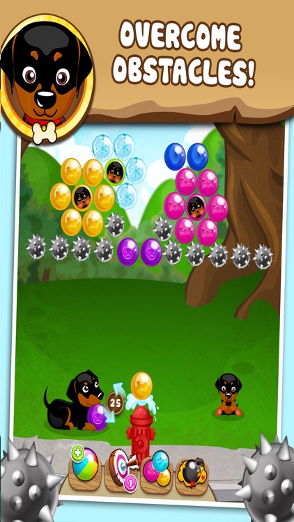 Doggy Bubbles - Play bubbleshooter in this action packed game!