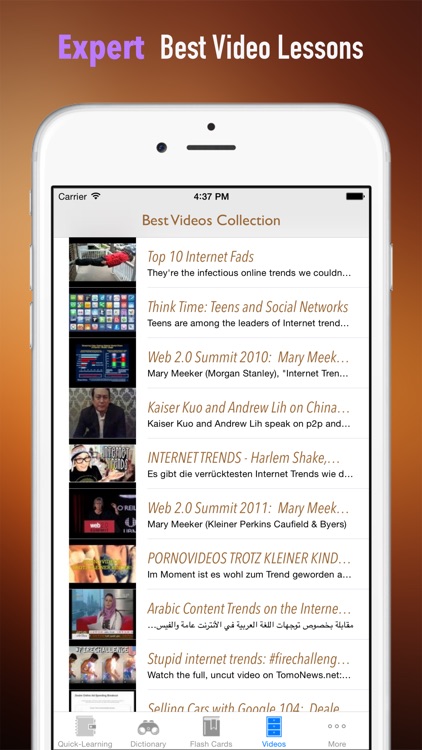 Internet and World Wide Web Quick Study Reference: Dictionary with Learning Video Lessons screenshot-4