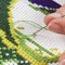 Cross Stitching Patterns is the best video guide for you to become expert in cross stitching