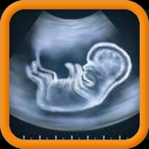 Ultrasound Spoof 2016: Pregnancy Test Icon