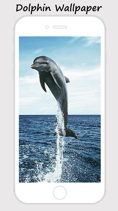 How to cancel & delete Dolphin Wallpapers - Best Collections Of Dolphin Pictures from iphone & ipad 3