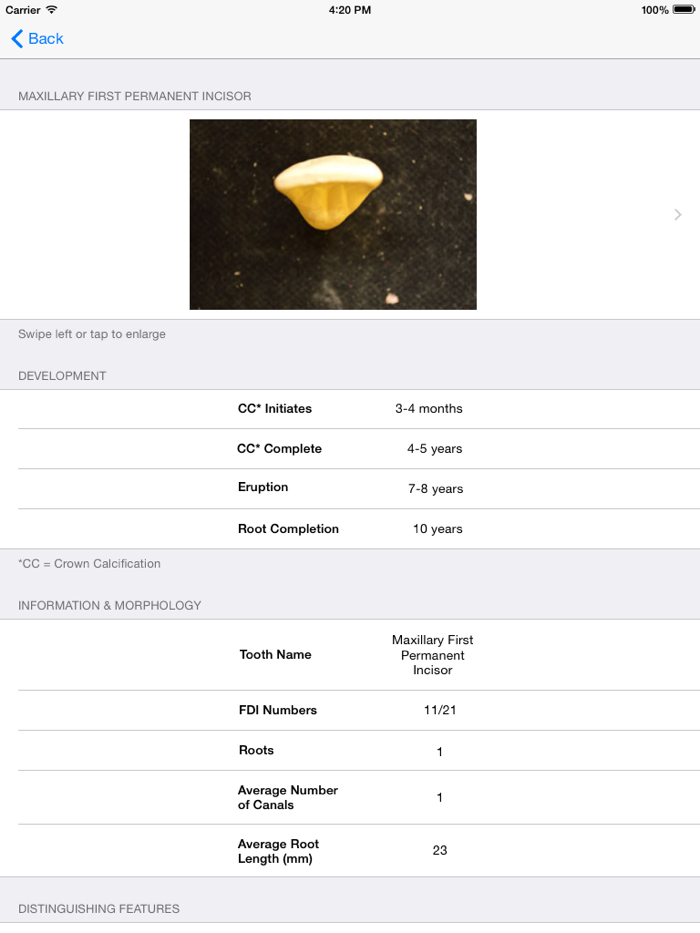 Tooth Morphology - Your Quick Reference Guide