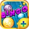 Bingo Groove PLUS - Play Online Casino and Gambling Card Game for FREE !