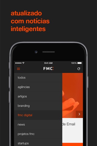 FMC Blog screenshot 2