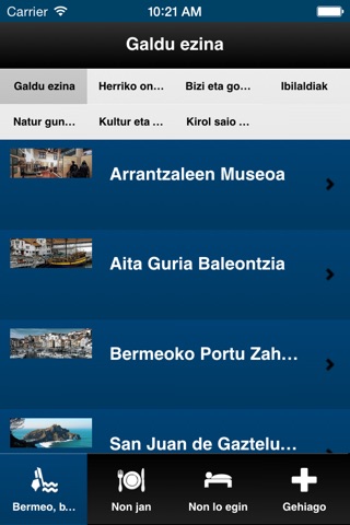 Bermeoko Udala screenshot 2