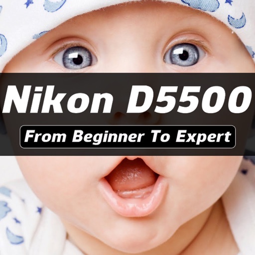 iD5500 - Nikon D5500 Guide And Training