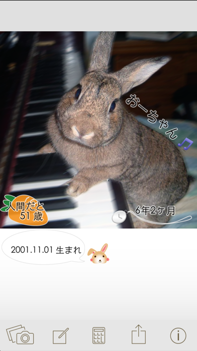ウサギいくつ ウサギの年齢を計算して写真で保存 Iphoneアプリ Applion