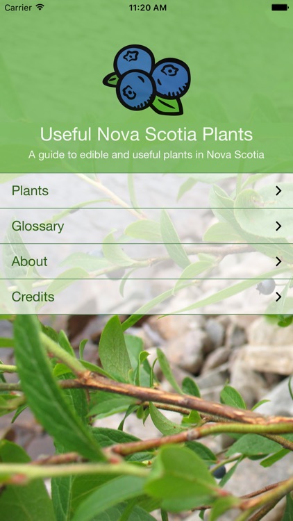 Useful Nova Scotia Plants