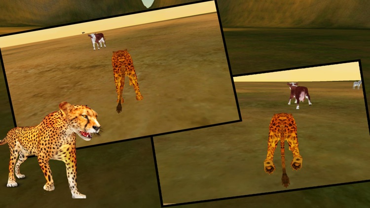 Cheetah Simulator 3d screenshot-4