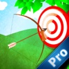 Arrow Master Pro : This is the Target Today!