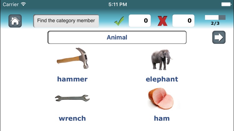 Category Therapy Lite - Aphasia Speech Rehab