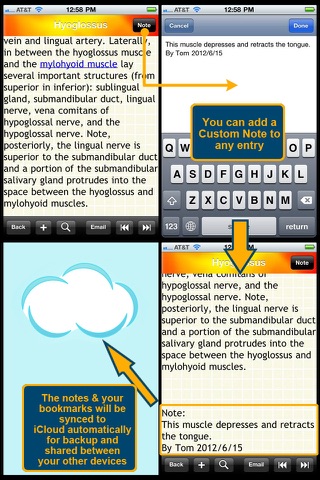 Human Muscle Encyclopedia Plus+ screenshot 4