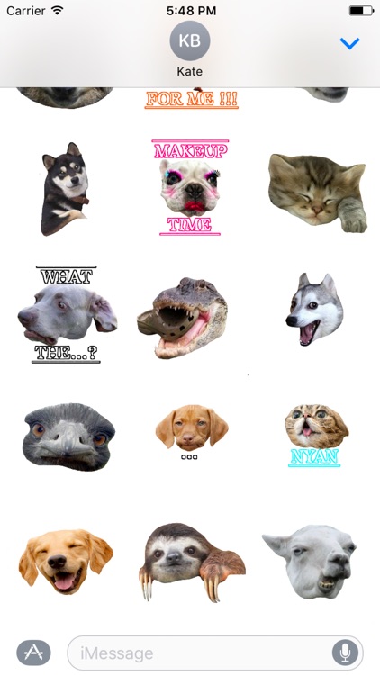 Animals Memes Stickers