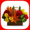 Flower Sticker! Tropical Bouquets Arrangements!