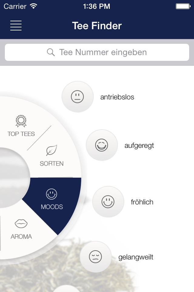TeeGschwendner screenshot 3