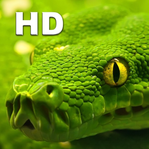 Snake Catalog HD icon