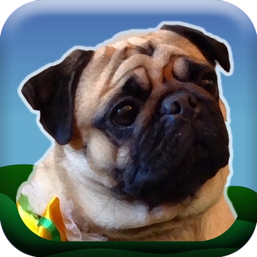 Farting Pug Pro iOS App