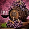 Winemaking for Beginner- Tutorials and Hot Trends