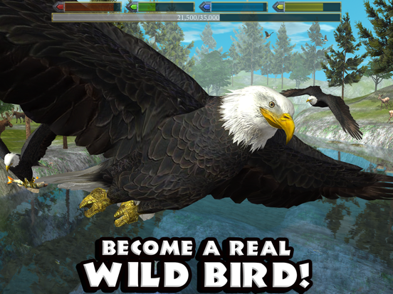 Ultimate Bird Simulator Ultimate Bird Simulator