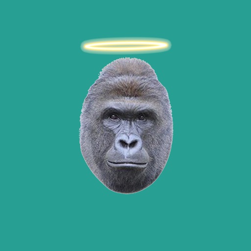 Harambe's Last Words Download