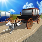 Dog Cart Race : sled dog race by driving  wagons