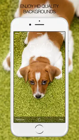 Game screenshot Puppy Wallpapers – Cute Puppy Pictures & Images apk