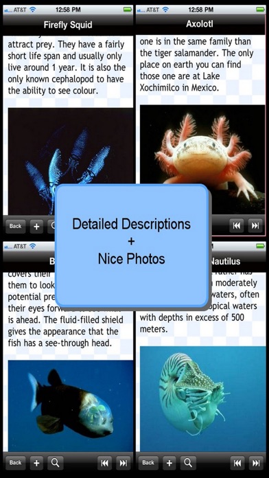 Weirdest Sea Creatures review screenshots