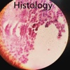 Histology Glossary and Cheatsheet-Study Guide