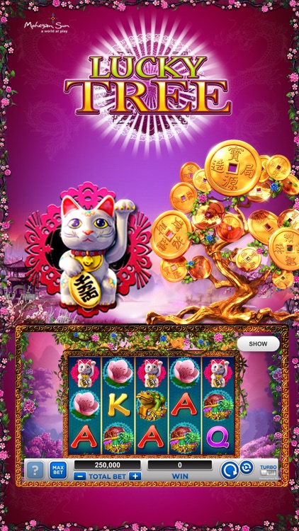 Mohegan Sun Connecticut screenshot-3