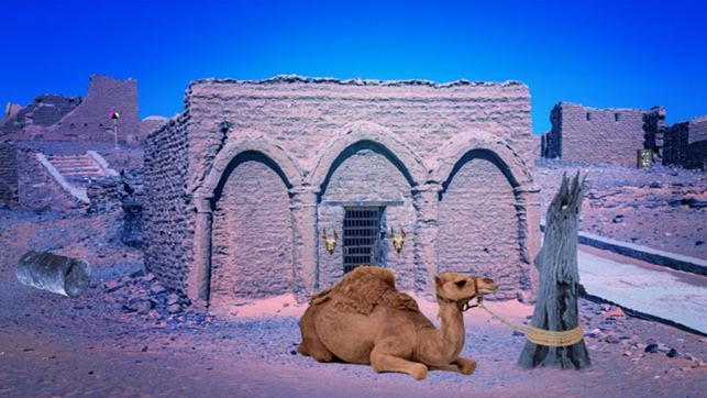 Escape Game Desert Camel