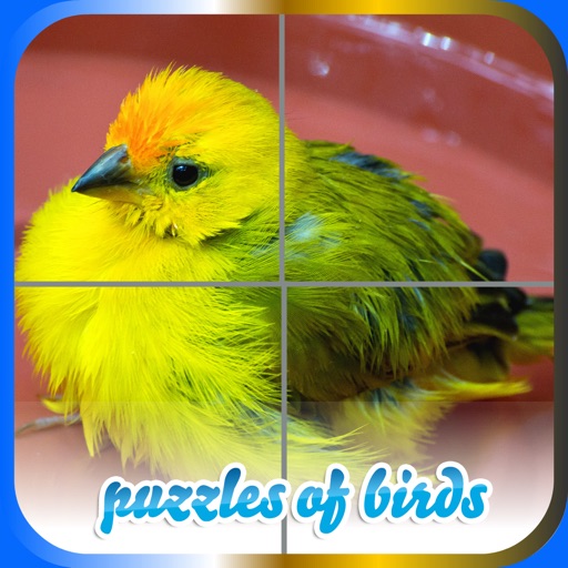 Puzzles of Birds iOS App