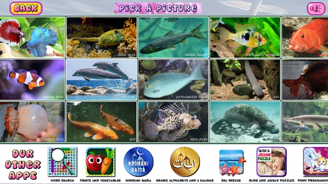 Puzzles of Aquatic Animals(圖3)-速報App