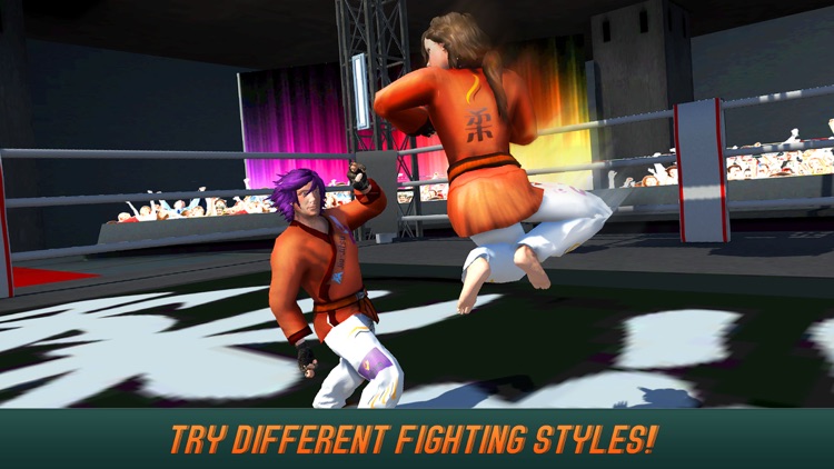 Karate Do Fighting Tiger 3D - 2