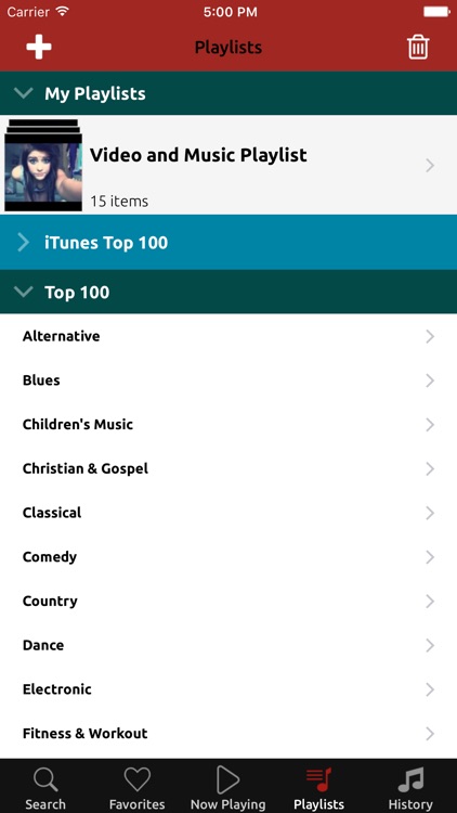 NetTube Video Music Player & Playlist Manager