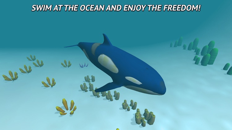 Angry Killer Whale: Orca Simulator 3D Full screenshot-3