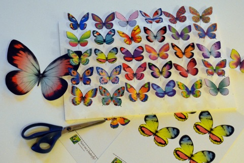 Paint Me a Butterfly! screenshot 4
