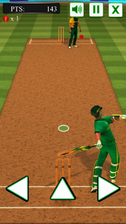 Super Cricket Batter